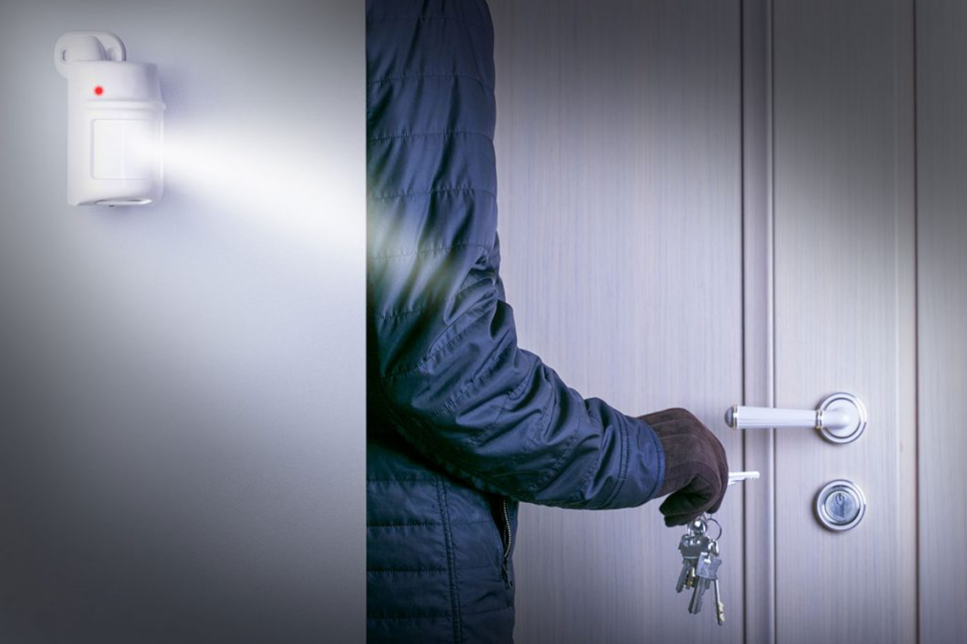 Perimetric Alarm System