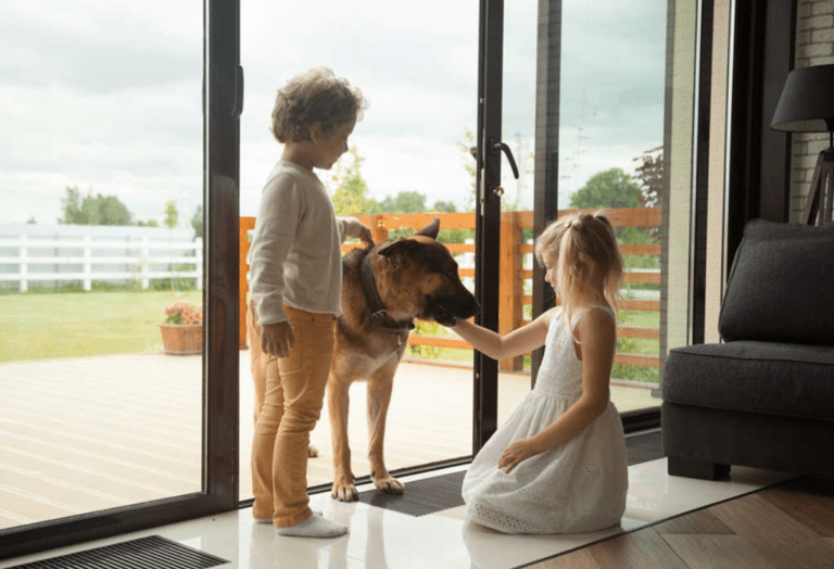 ALL ABOUT GUARD DOGS FOR HOME SECURITY