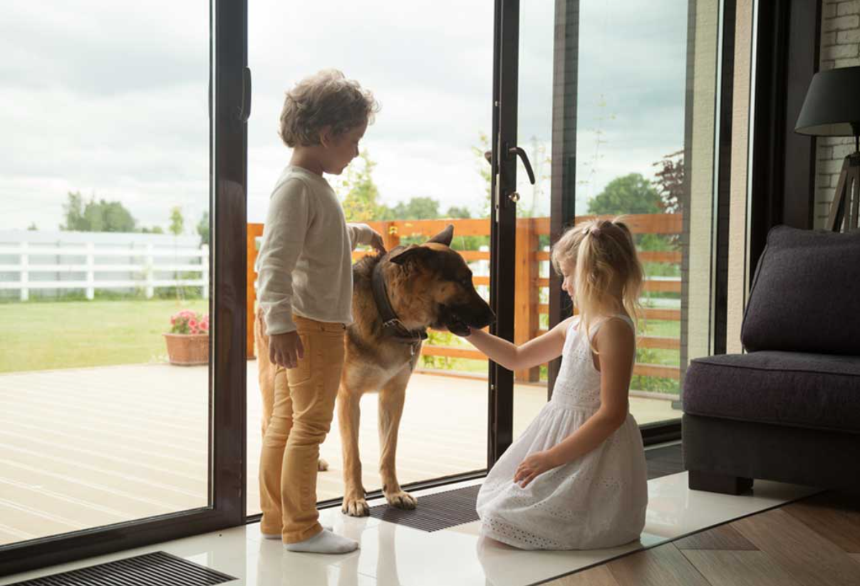 ALL ABOUT GUARD DOGS FOR HOME SECURITY
